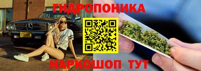 ECSTASY Камышлов