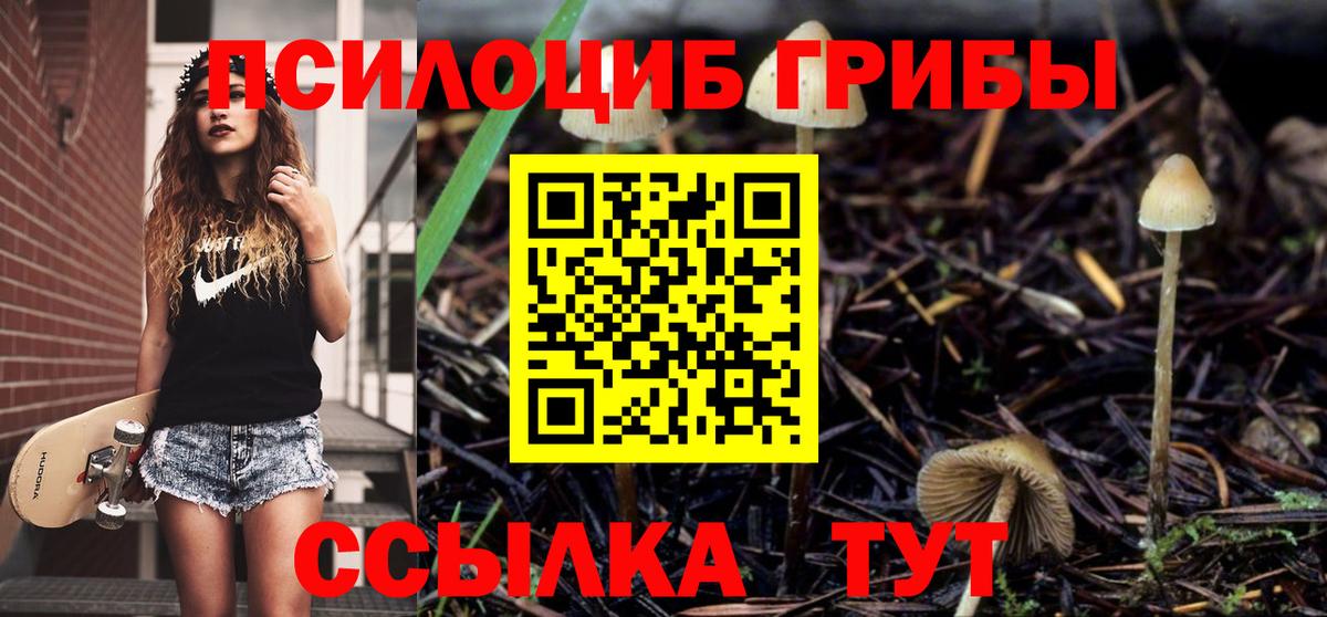 Псилоцибиновые грибы мухоморы Арсеньев